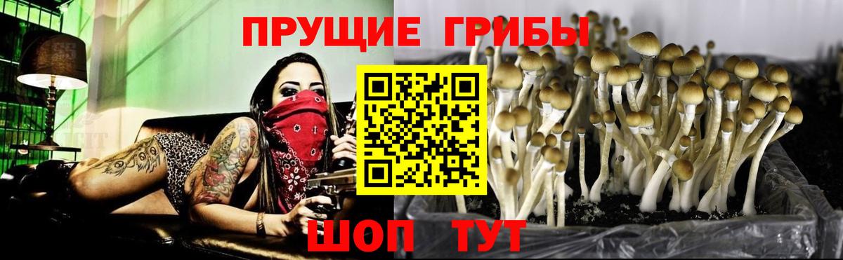 Галлюциногенные грибы GOLDEN TEACHER Сланцы